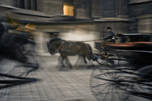 fotoausstellung wien fotogalerie